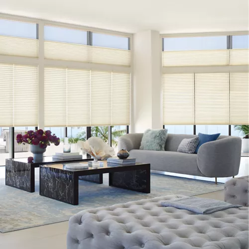 Duette window blinds